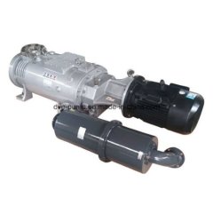 Вакуумный насос DVE SVP-100DV